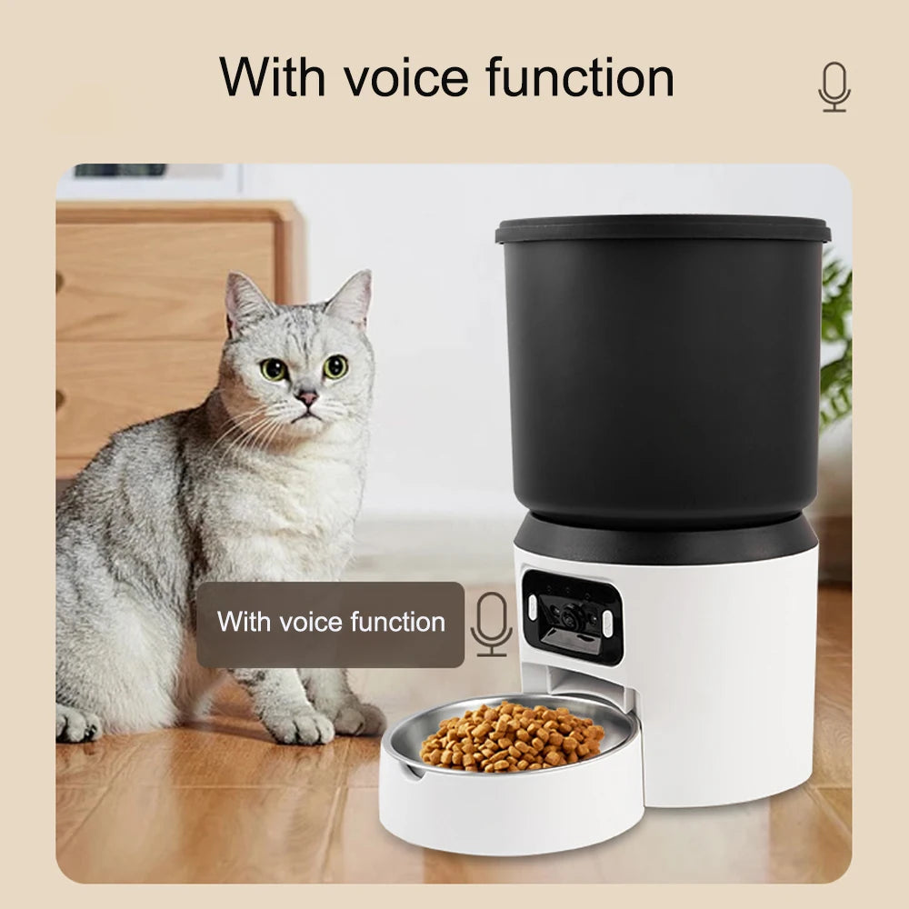 cat feeder with high-definition camera